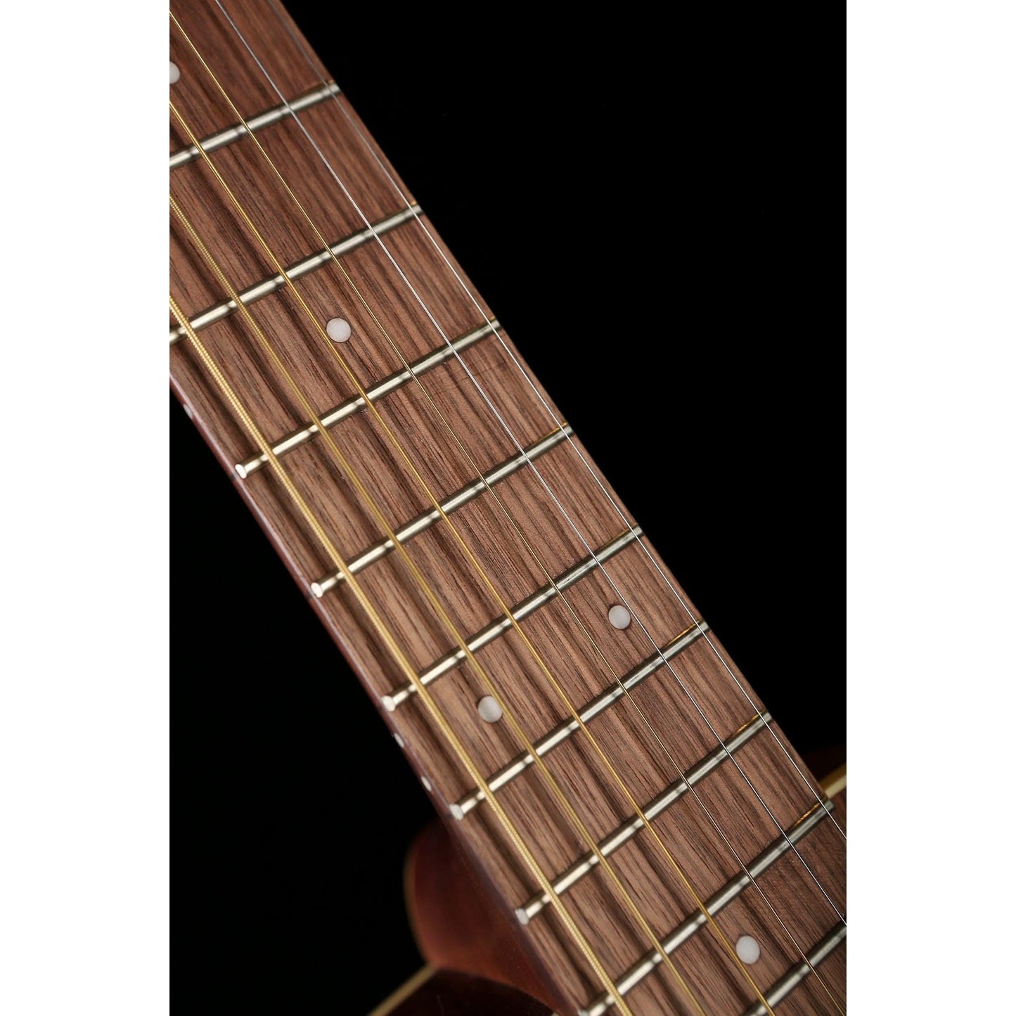 Acoustic Guitars Fender GIG Guitars