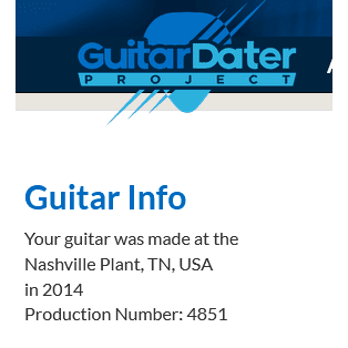 Electric Guitars Gibson GIG Guitars
