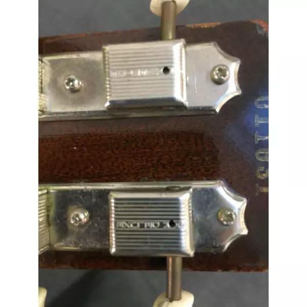 Electric Guitars Gibson GIG Guitars