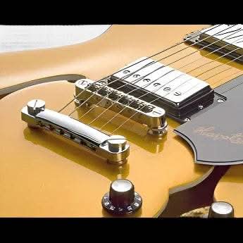 Semi-Hollow Guitars Hagstrom Guitars GIG Guitars