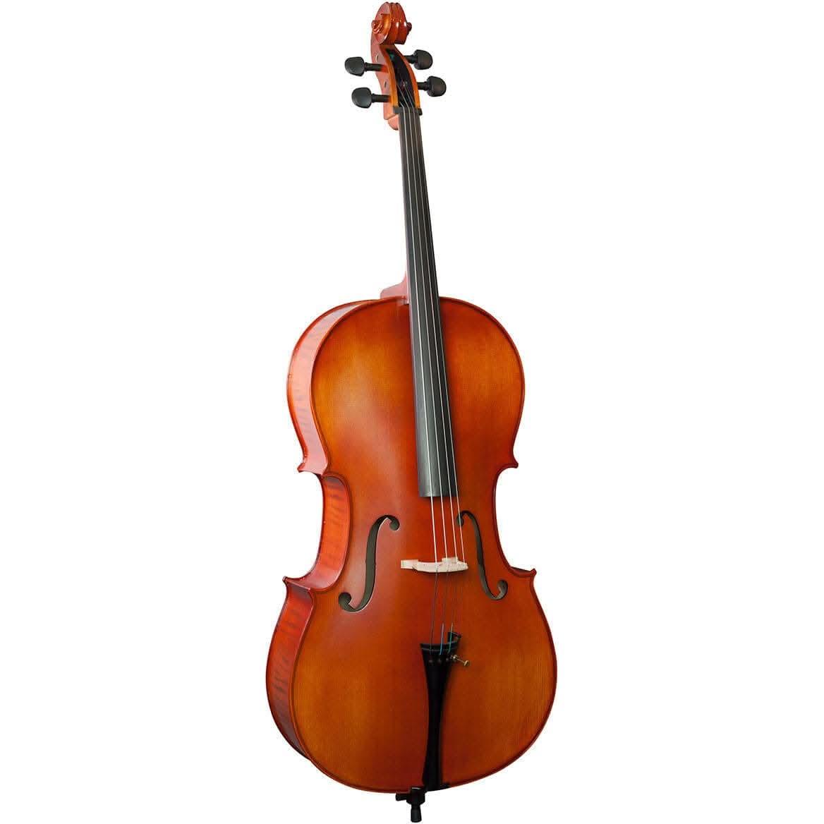 Hidersine HW3182AG-P Vivente Academy Finetune Cello Student Outfit 4/4 setup with Thomatik Alphyue strings Hidersine Cello