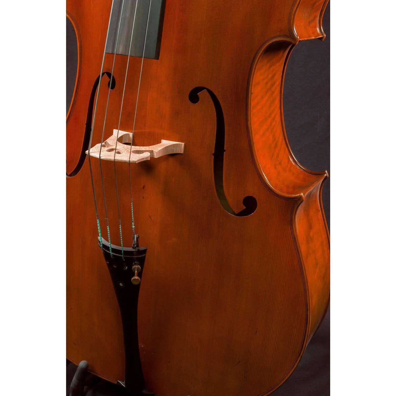 Hidersine Reserve Cello 4/4 Hidersine Cello