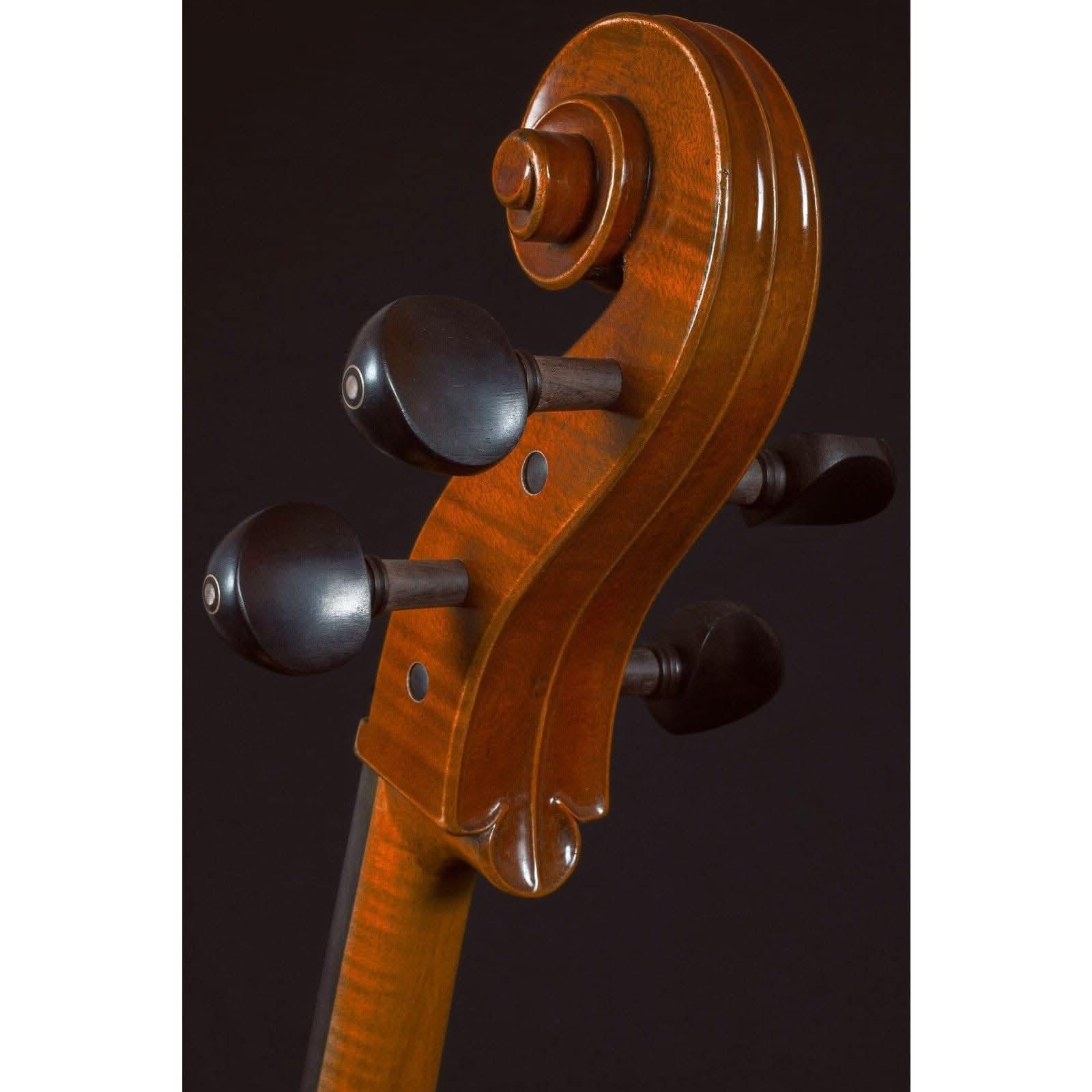 Hidersine Reserve Cello 4/4 Hidersine Cello