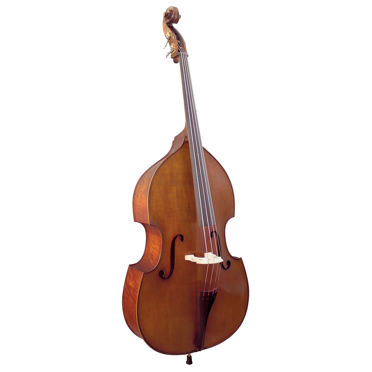 Double Bass Hidersine GIG Guitars