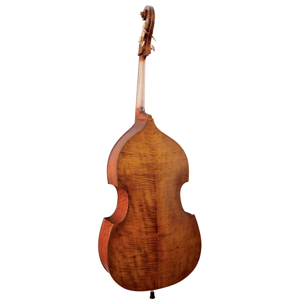 Double Bass Hidersine GIG Guitars