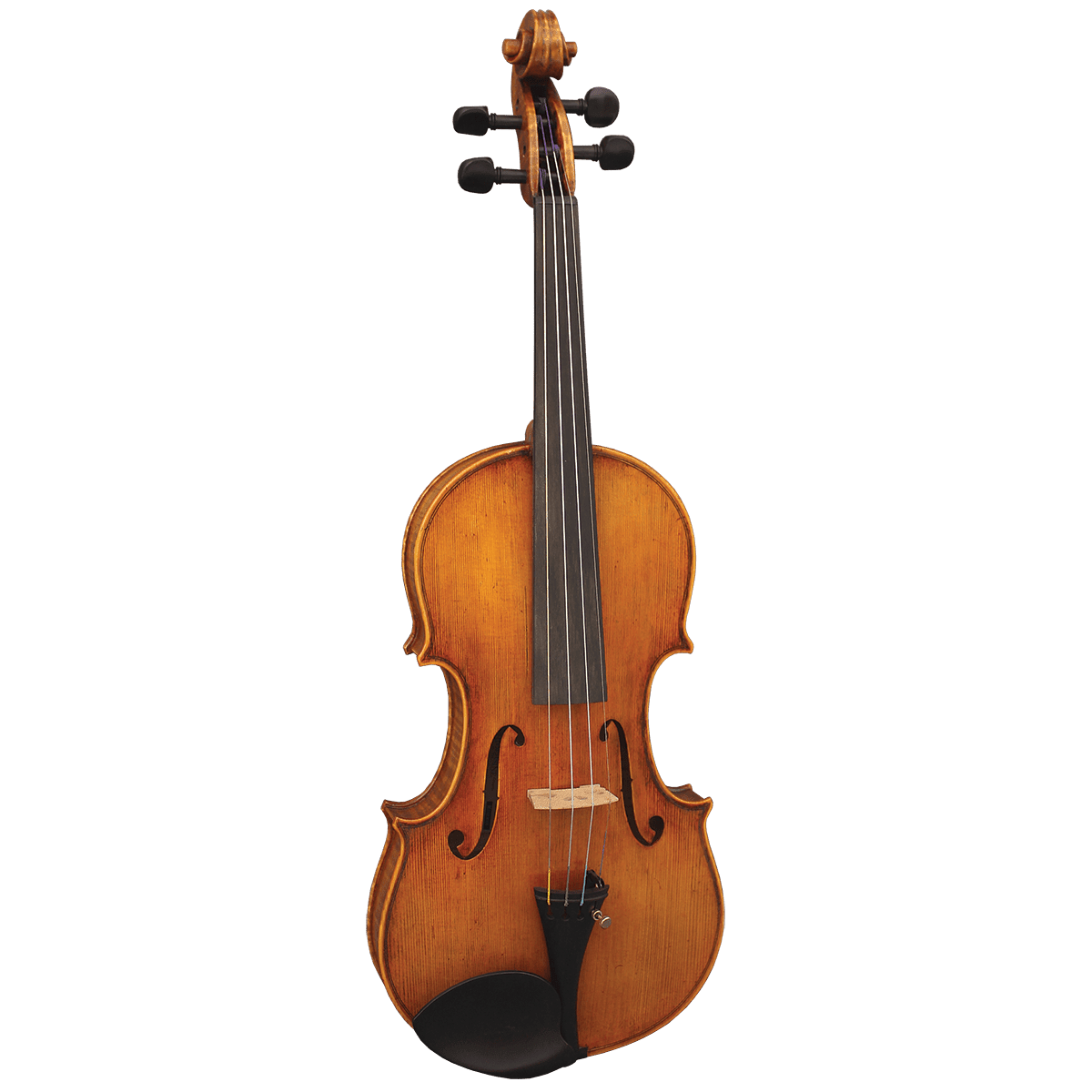 Violin Hidersine GIG Guitars