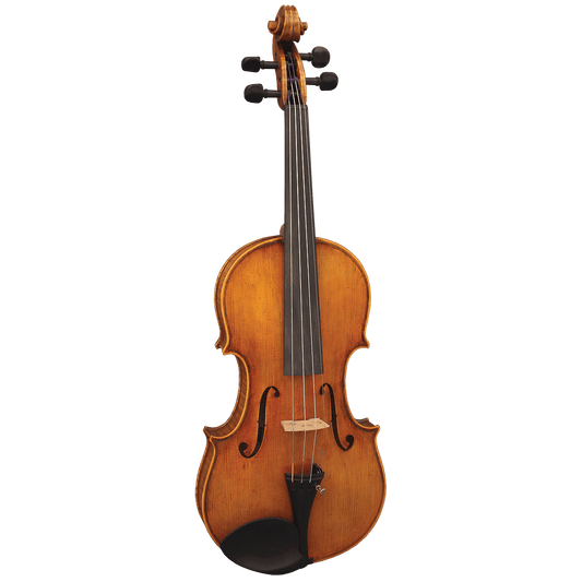 Hidersine Reserve WV400 4/4 Violin Outfit Inc. Setup. Hidersine Violin