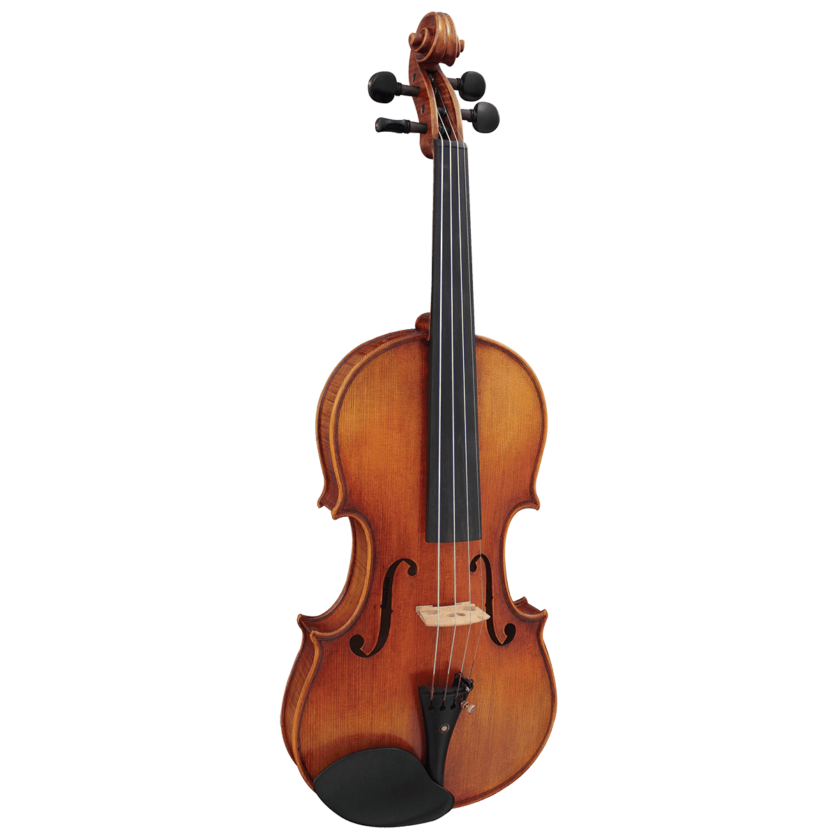 Hidersine Venezia WV100 Violin Outfit 4/4 Inc. Setup Hidersine Violin