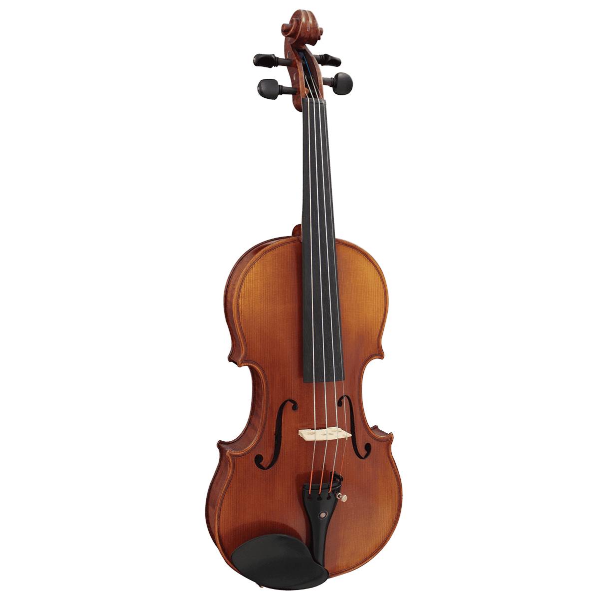 Hidersine WV50 Violin Outfit 4/4 Inc. Setup. Hidersine Violin