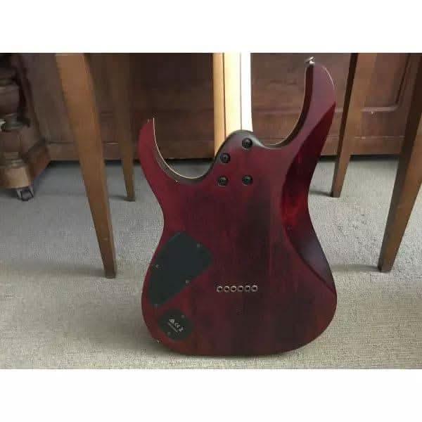 Electric Guitars Ibanez GIG Guitars