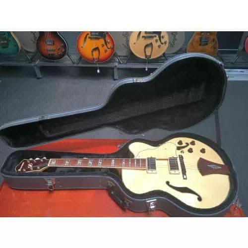 Semi-Hollow Guitars Ibanez GIG Guitars