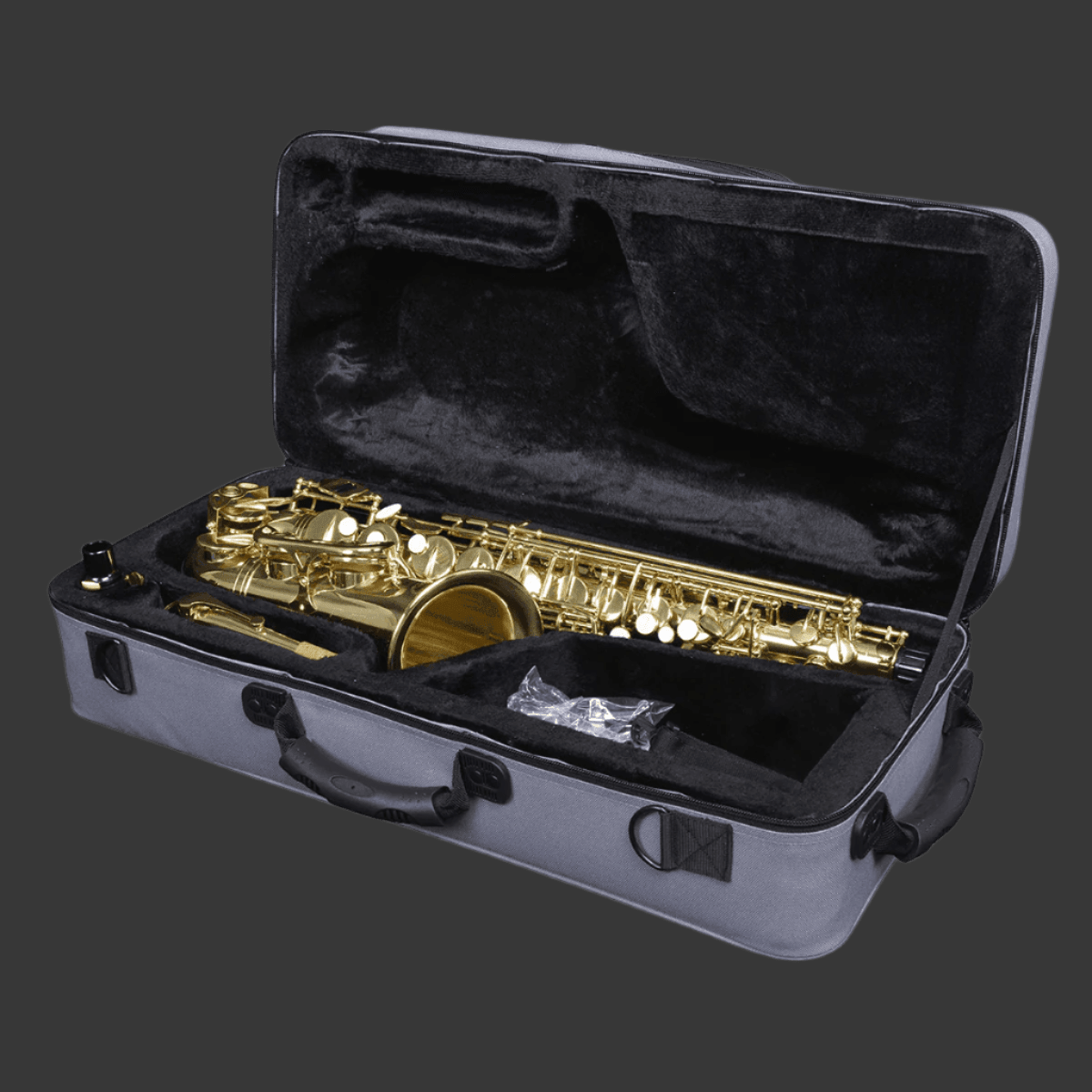 Saxophone Ida Maria Grassi GIG Guitars