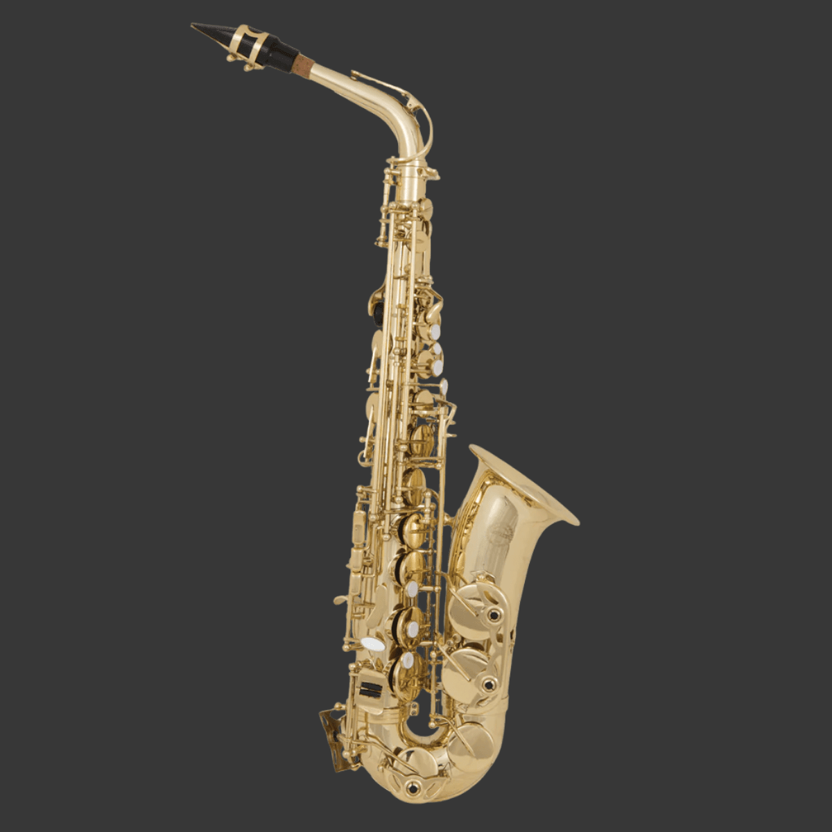 Saxophone Ida Maria Grassi GIG Guitars