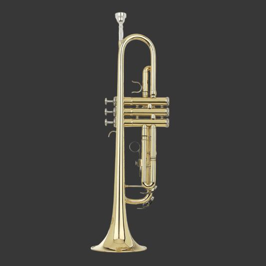 Grassi GRSTR500 School Series Trumpet Bb Gold Lacquer Ida Maria Grassi Trumpet