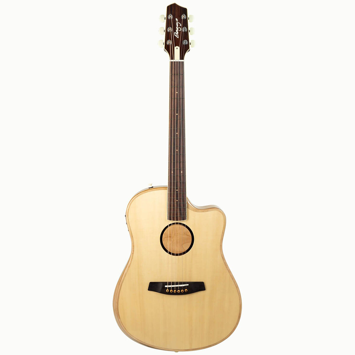 Acoustic/Electric Guitars LR Baggs GIG Guitars
