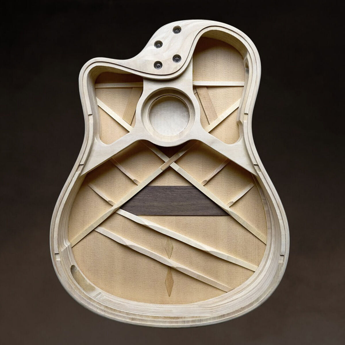 Acoustic/Electric Guitars LR Baggs GIG Guitars