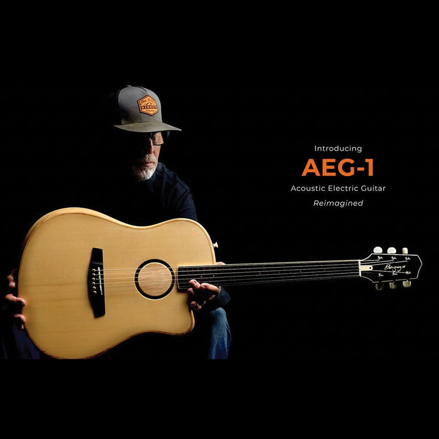 LR Baggs AEG-1 High-Performance Acoustic-Electric Guitar LR Baggs Acoustic Guitars