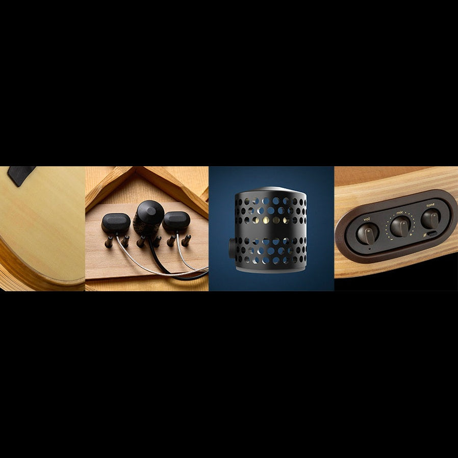 LR Baggs AEG-1 High-Performance Acoustic-Electric Guitar LR Baggs Acoustic Guitars