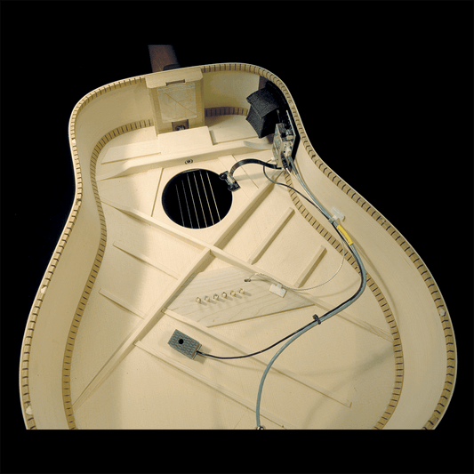 LR Baggs DSELE Dual Source Mixing Acoustic Guitar Pickup and Mic System LR Baggs Acoustic Guitar Pickup