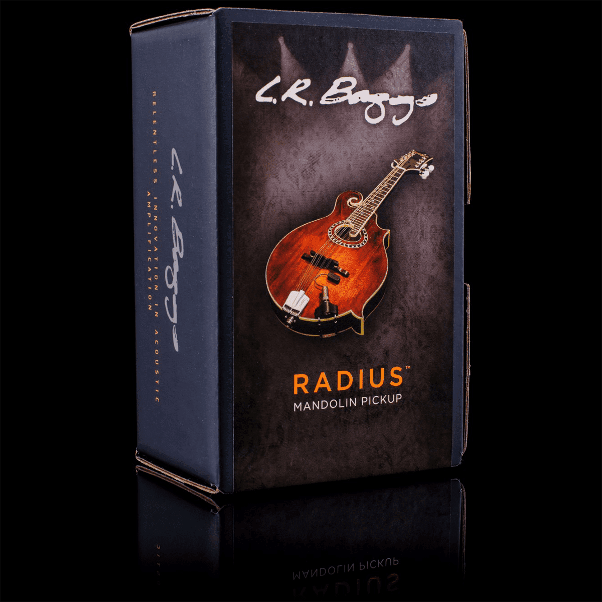 Acoustic Guitar Pickup LR Baggs GIG Guitars