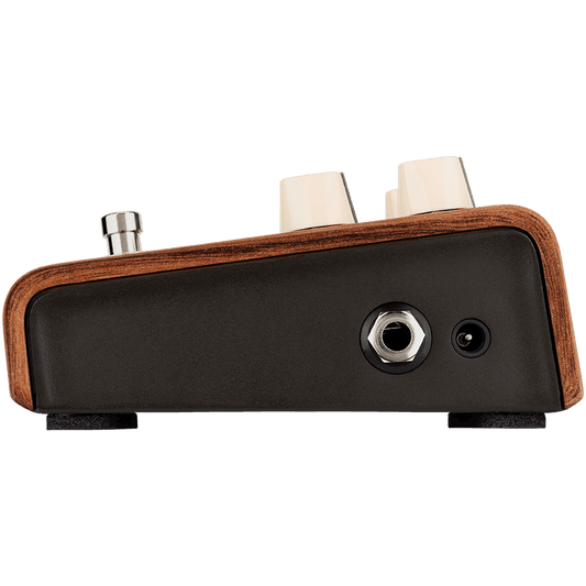 LR Baggs LRBALIGNREVERB Align Reverb Pedal LR Baggs Acoustic Pedals