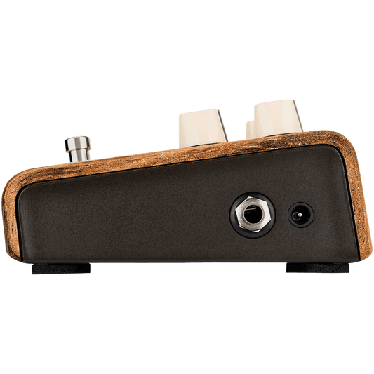 LR Baggs LRBALIGNSESSION Align Session Pedal LR Baggs Acoustic Pedals