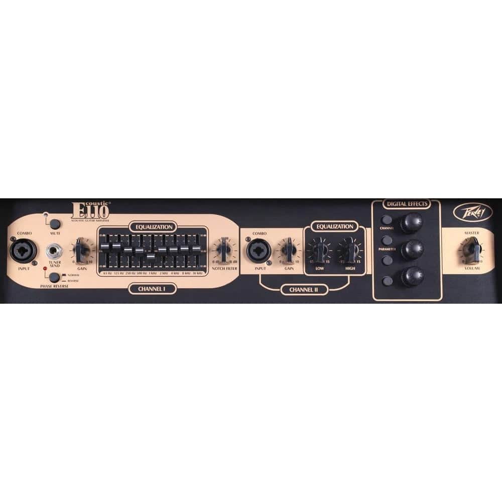 Acoustic Amps Peavey GIG Guitars