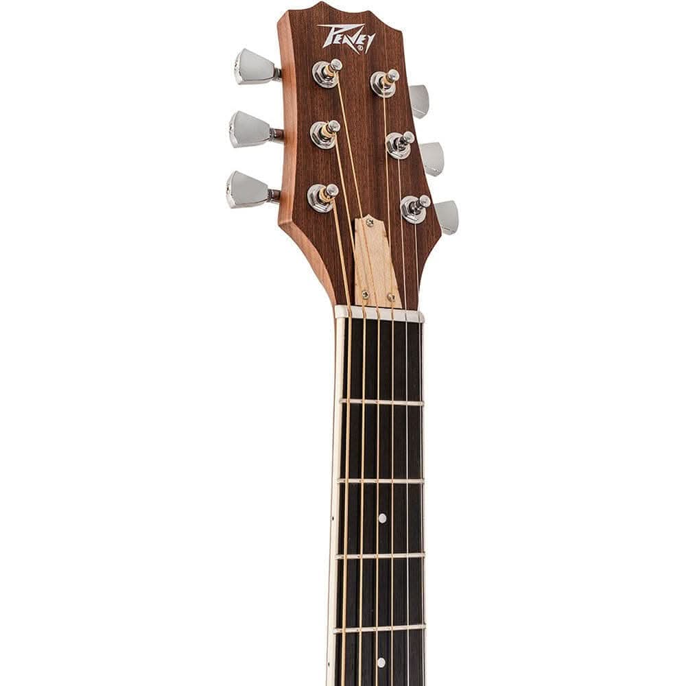 Acoustic/Electric Guitars Peavey GIG Guitars