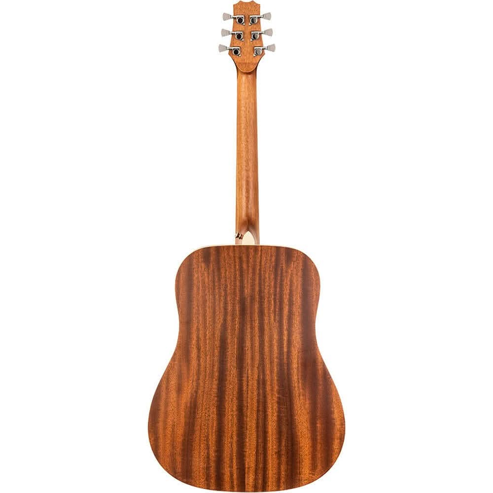 Acoustic Guitars Peavey GIG Guitars