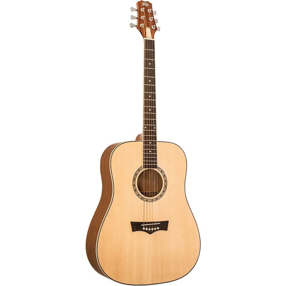 Acoustic Guitars Peavey GIG Guitars