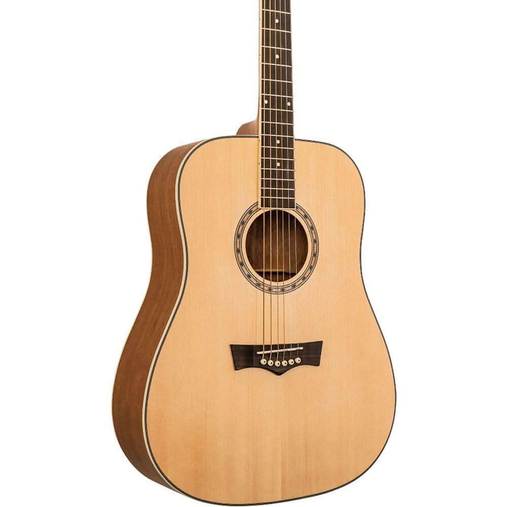 Acoustic Guitars Peavey GIG Guitars