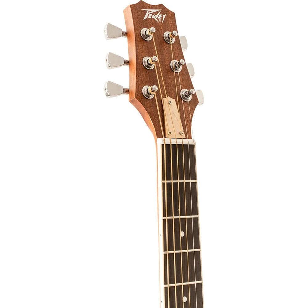 Acoustic Guitars Peavey GIG Guitars