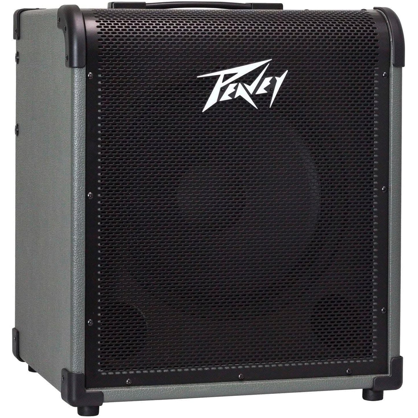 Bass Amps Peavey GIG Guitars