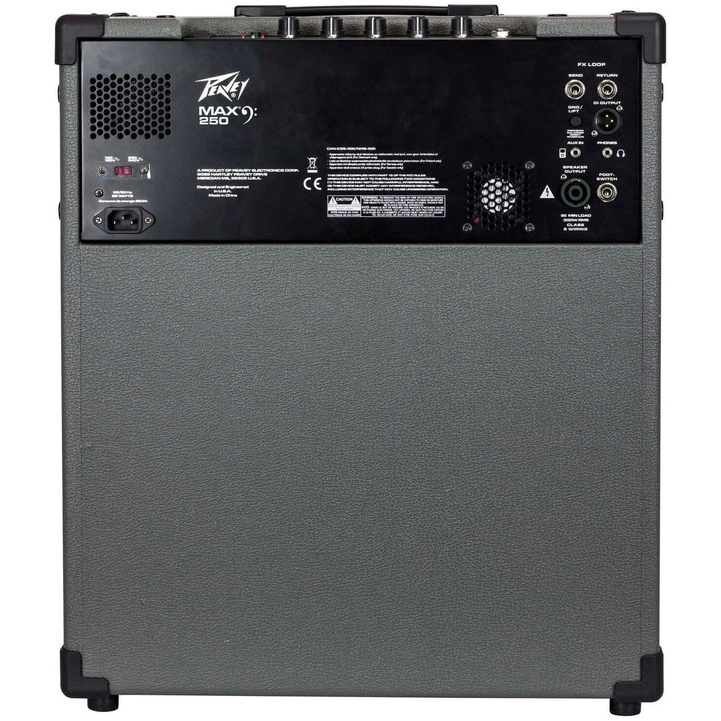 Bass Amps Peavey GIG Guitars