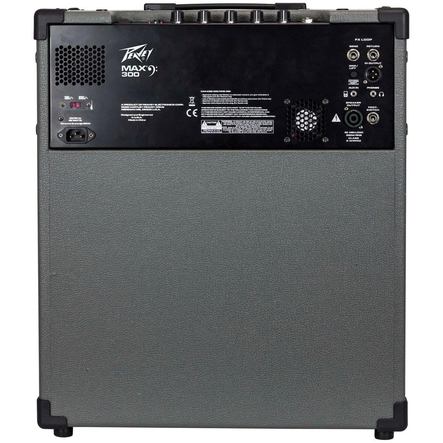 Bass Amps Peavey GIG Guitars
