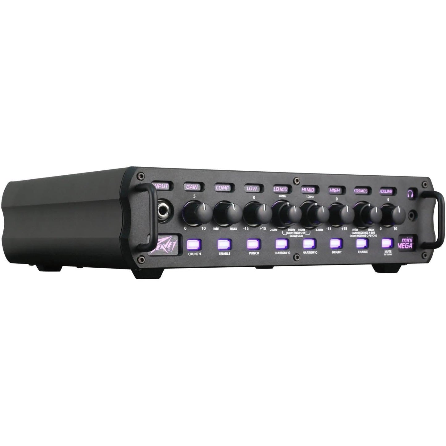 Bass Amps Peavey GIG Guitars