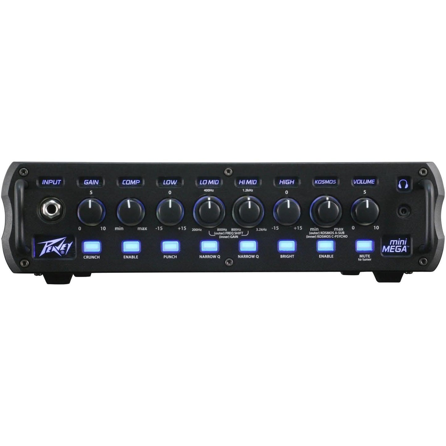 Bass Amps Peavey GIG Guitars