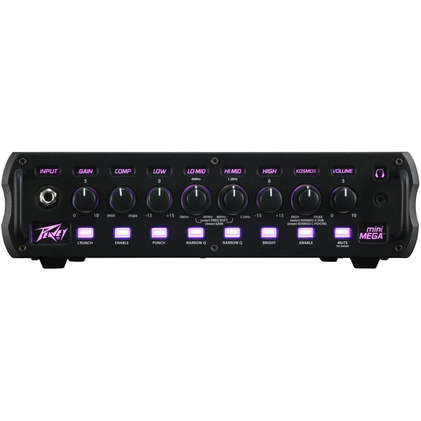Bass Amps Peavey GIG Guitars