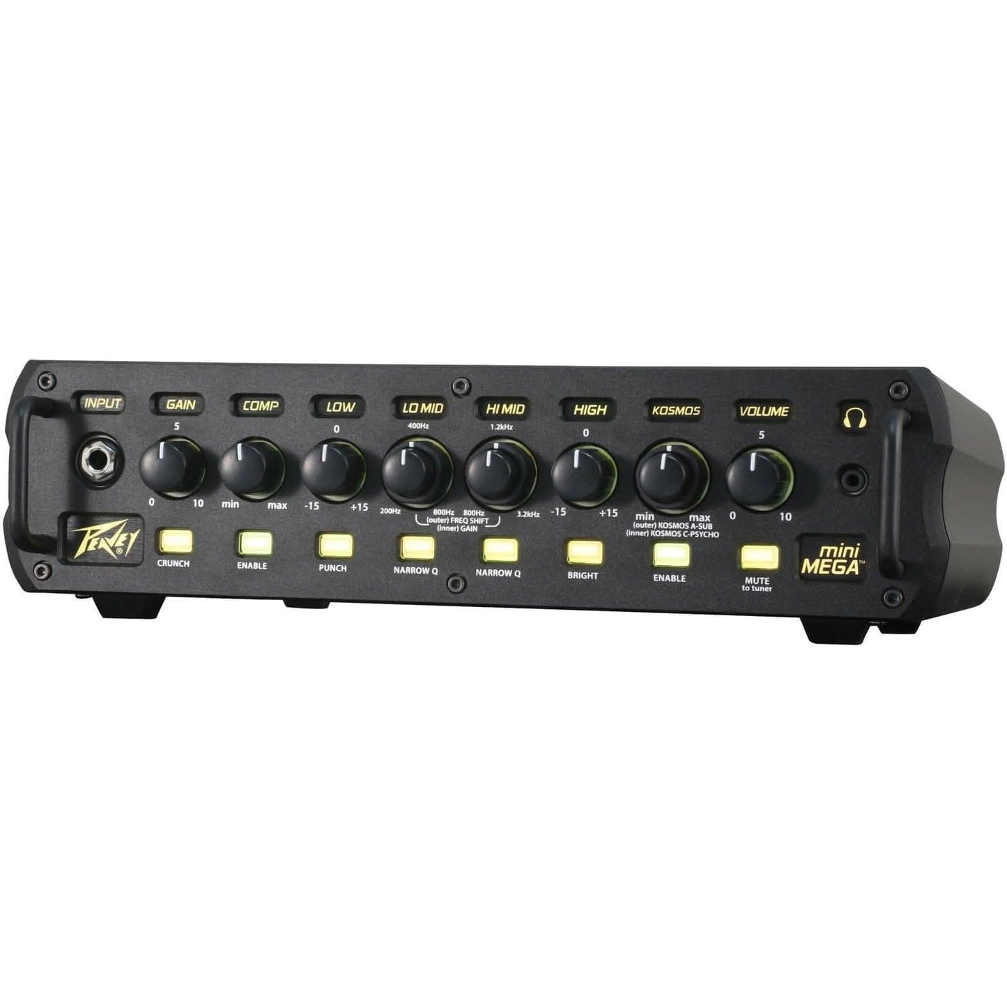 Bass Amps Peavey GIG Guitars