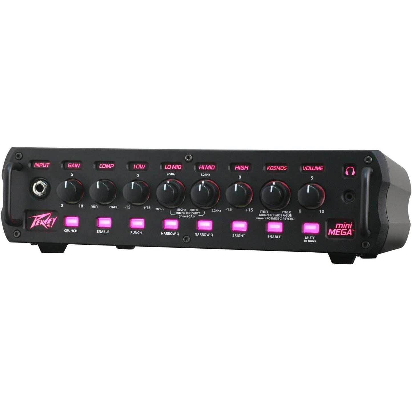Bass Amps Peavey GIG Guitars