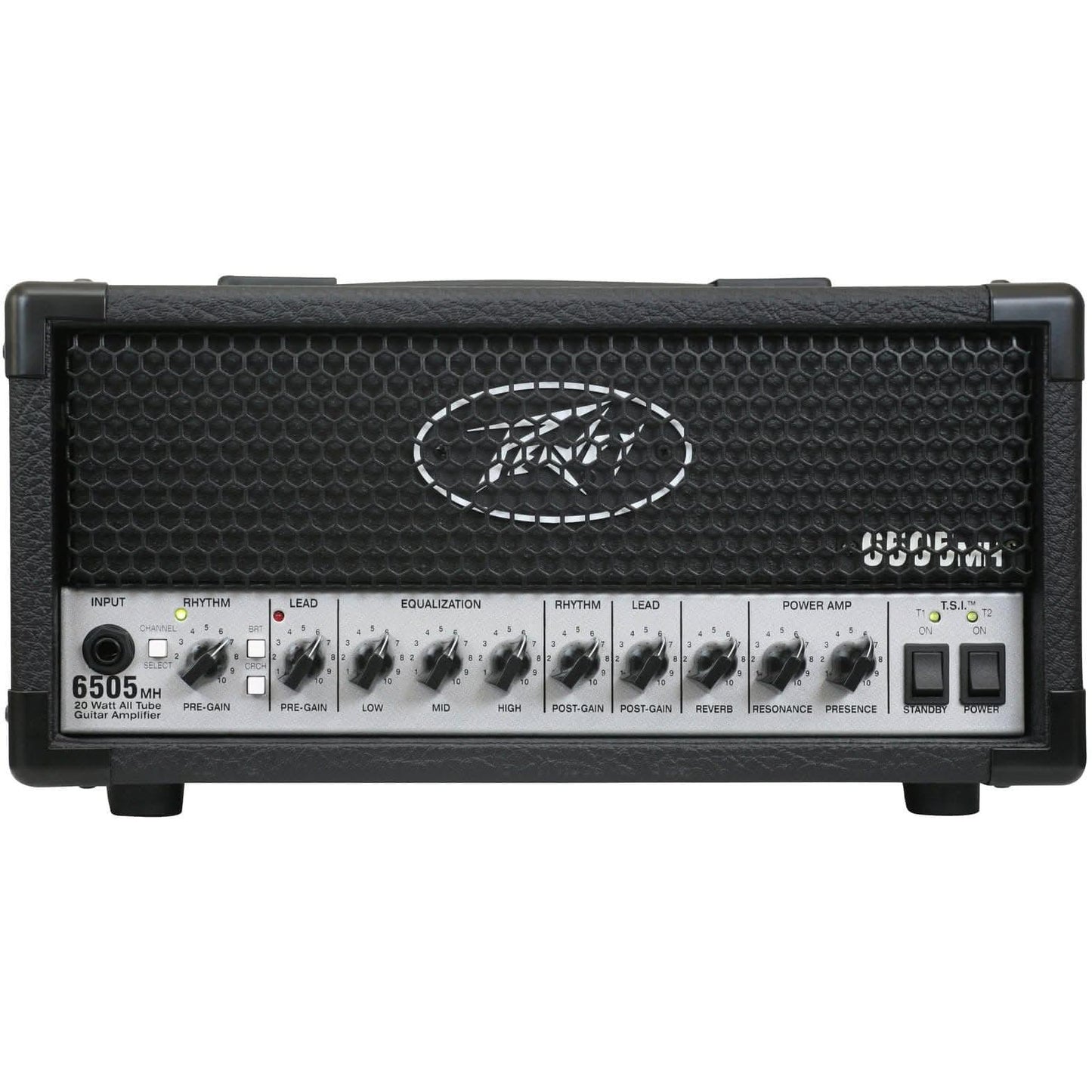 Electric Amps Peavey GIG Guitars