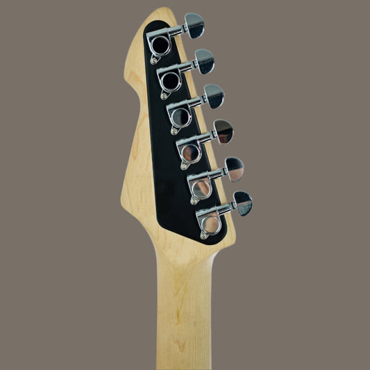 Peavey Raptor Custom Series Electric Guitar in Black 3SC Peavey Electric Guitars