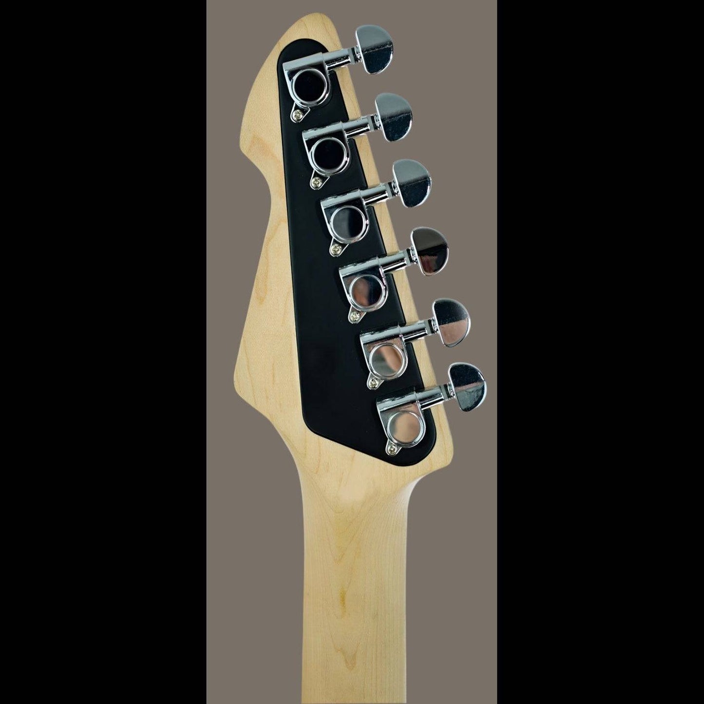 Electric Guitars Peavey GIG Guitars