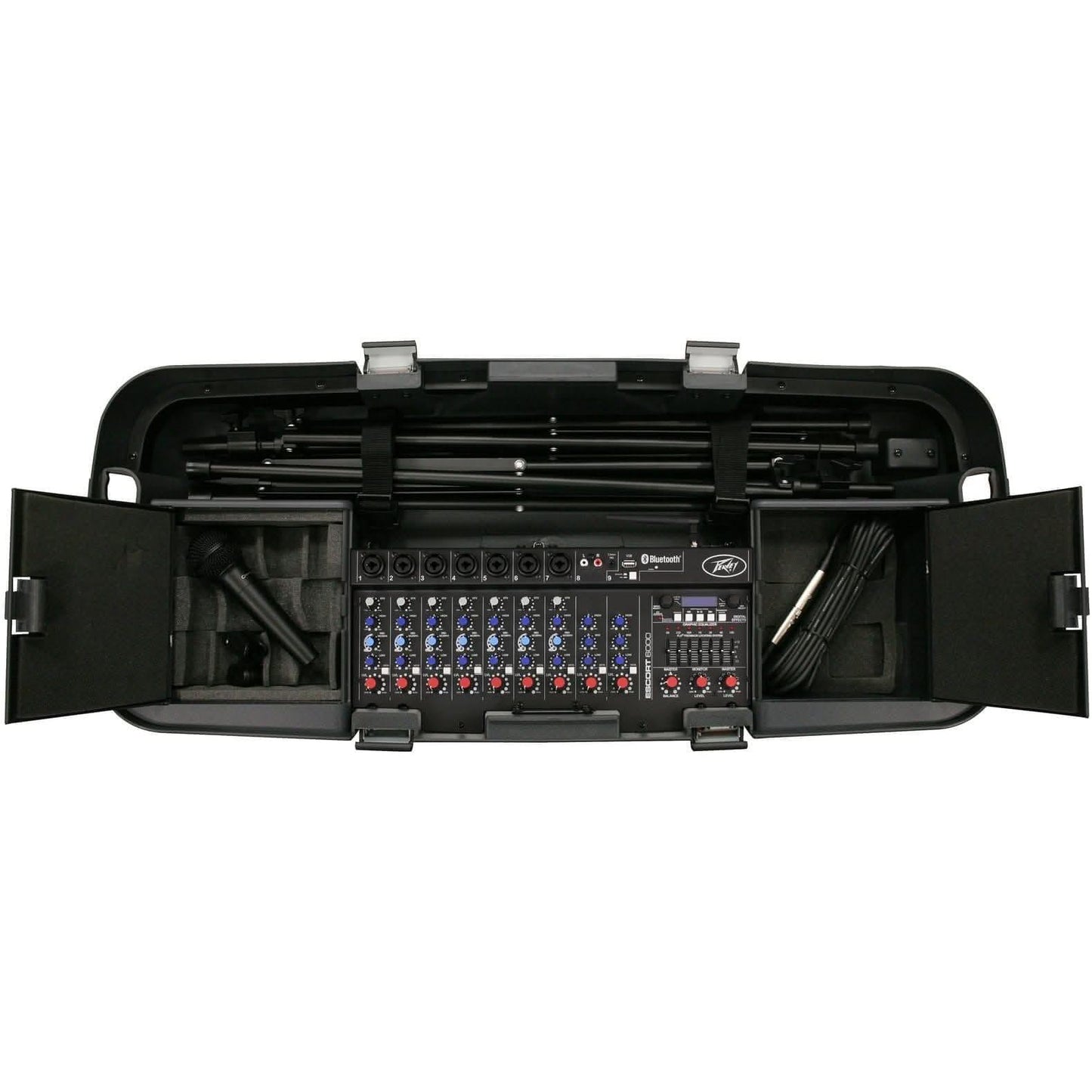 PA & DJ Peavey GIG Guitars