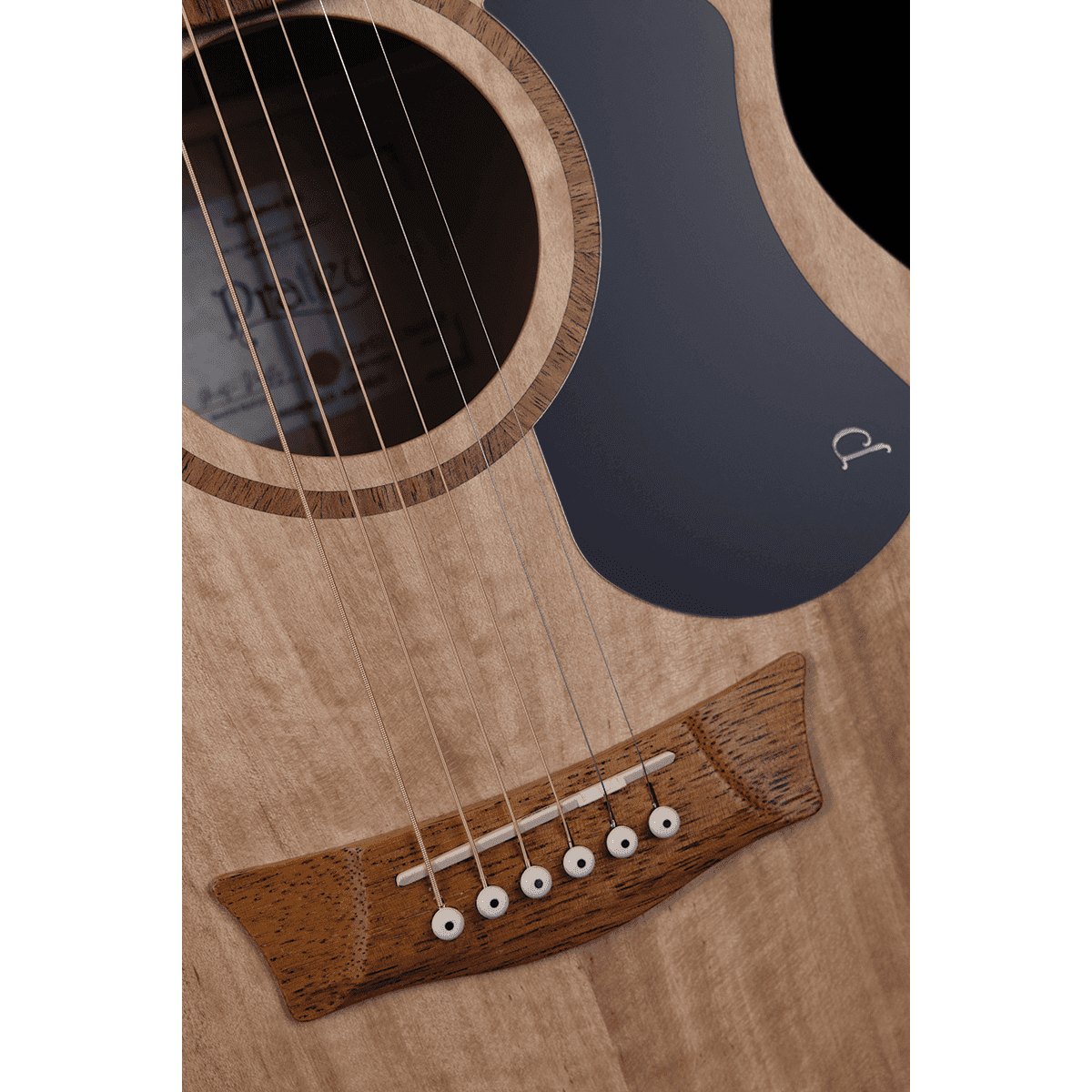 Acoustic/Electric Guitars Pratley Guitars GIG Guitars