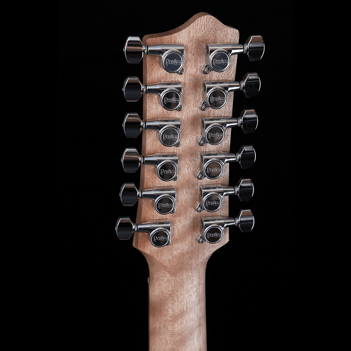 Acoustic/Electric Guitars Pratley Guitars GIG Guitars