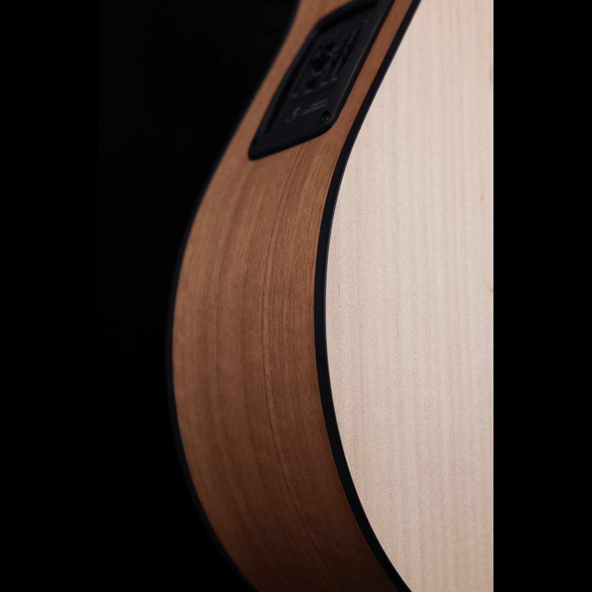 Acoustic/Electric Guitars Pratley Guitars GIG Guitars