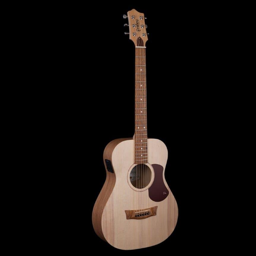 Acoustic/Electric Guitars Pratley Guitars GIG Guitars