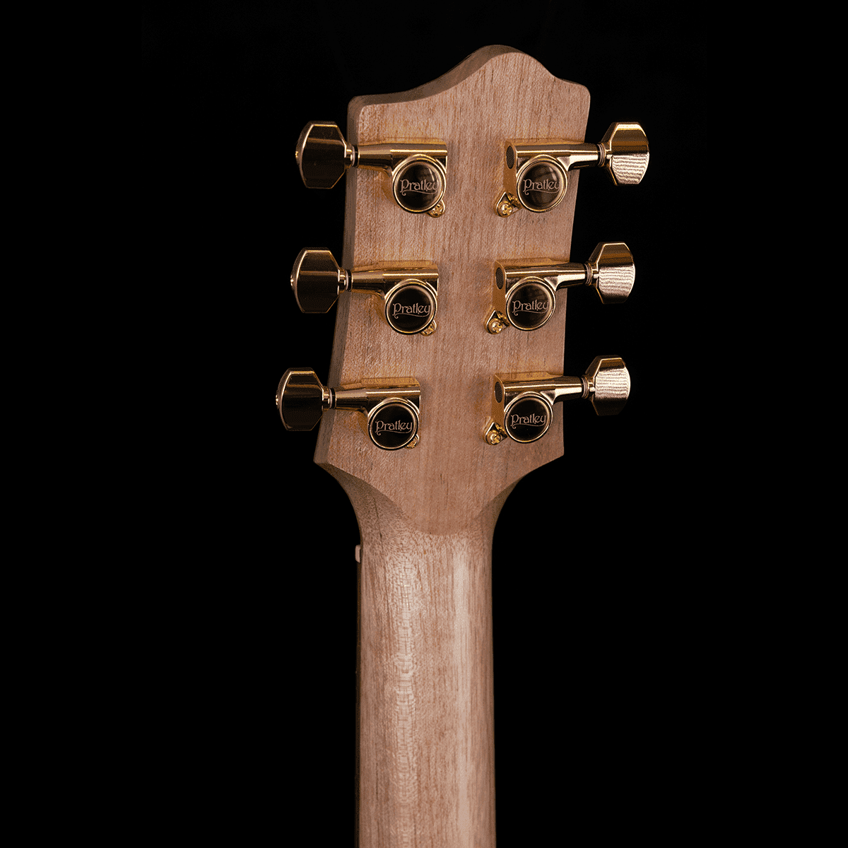 Acoustic/Electric Guitars Pratley Guitars GIG Guitars