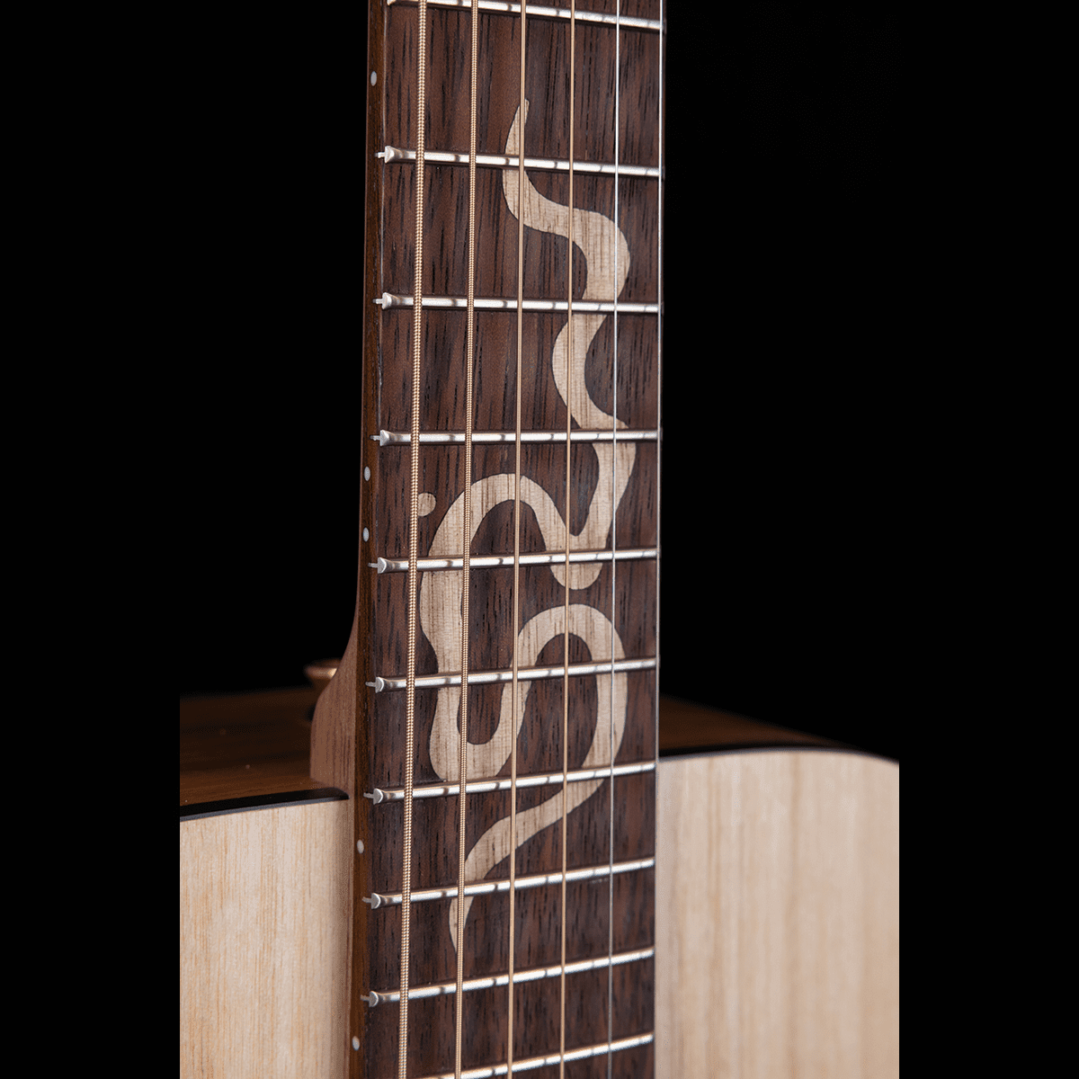 Acoustic/Electric Guitars Pratley Guitars GIG Guitars